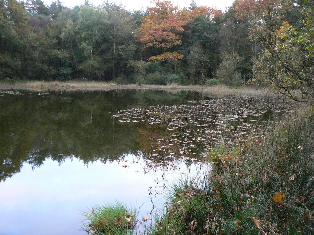 Hoeve Den Anholt Villa Ruinen Buitenkant foto