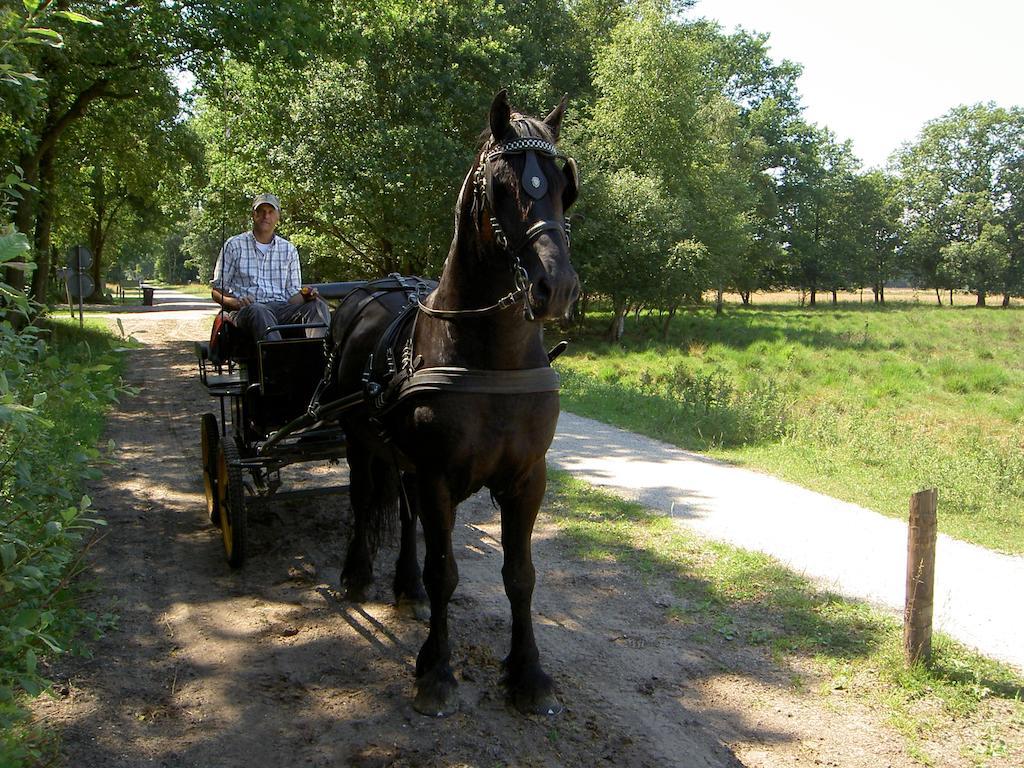 Hoeve Den Anholt Villa Ruinen Buitenkant foto