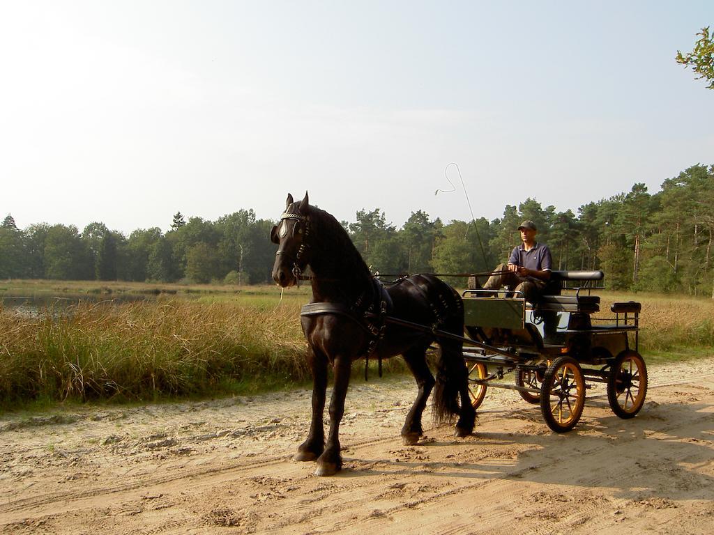 Hoeve Den Anholt Villa Ruinen Buitenkant foto
