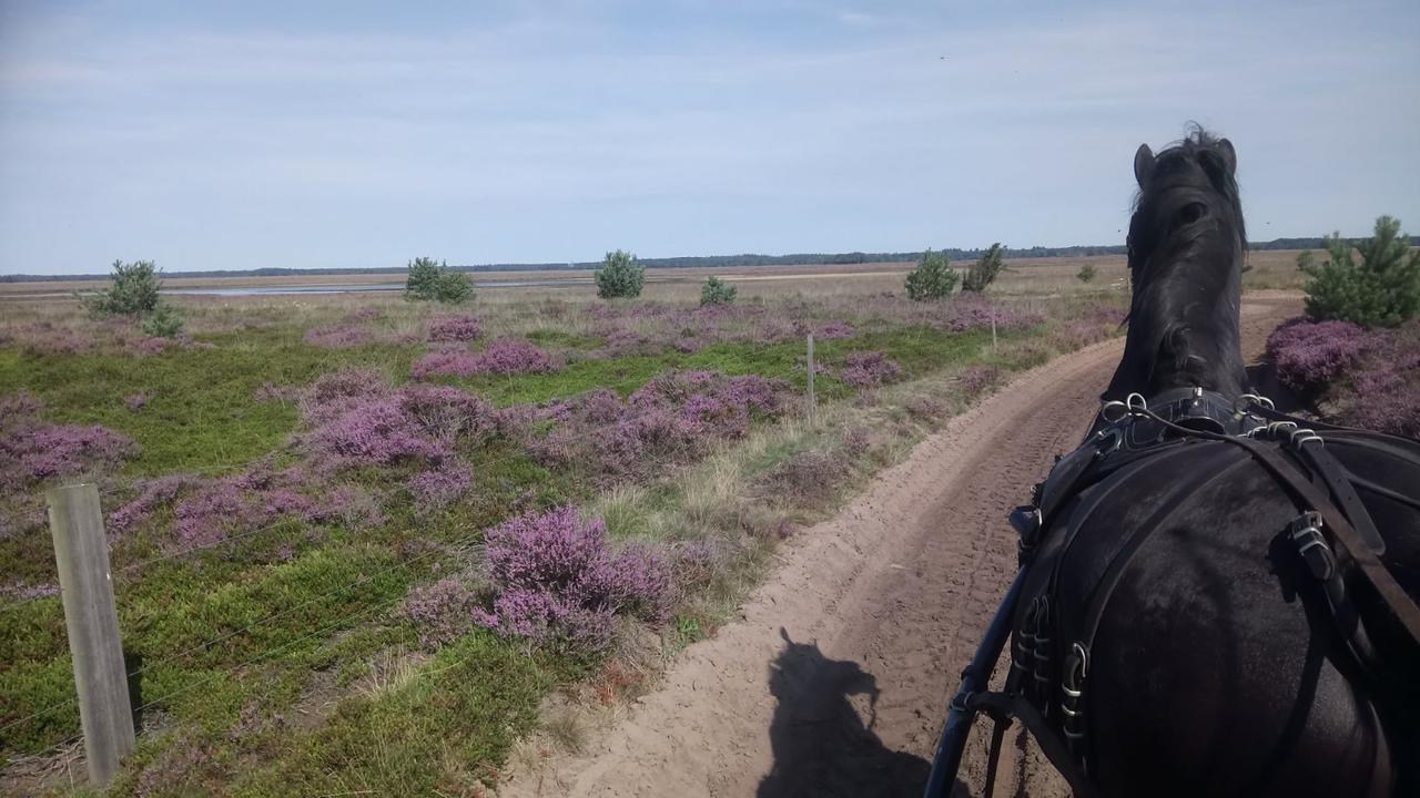 Hoeve Den Anholt Villa Ruinen Buitenkant foto