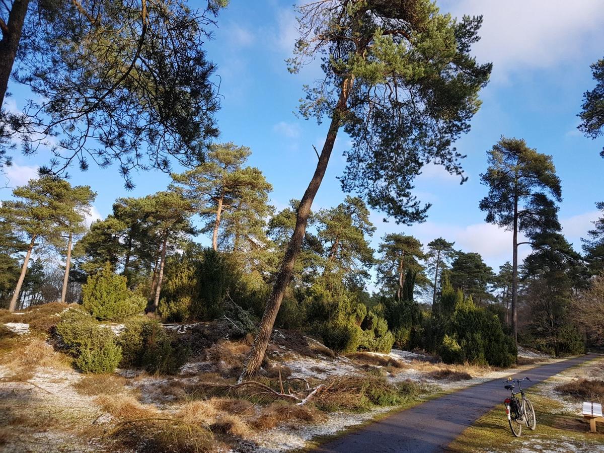 Hoeve Den Anholt Villa Ruinen Buitenkant foto