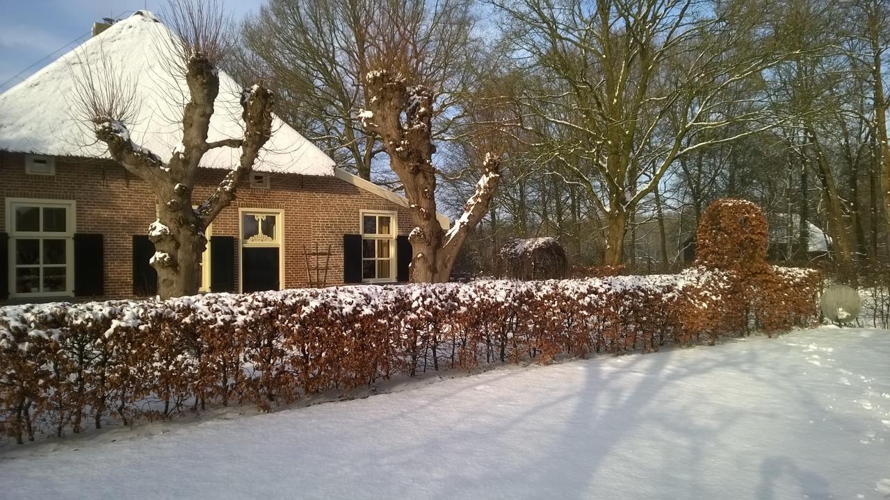 Hoeve Den Anholt Villa Ruinen Buitenkant foto
