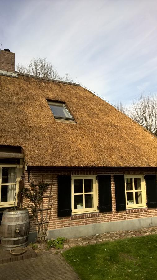 Hoeve Den Anholt Villa Ruinen Buitenkant foto