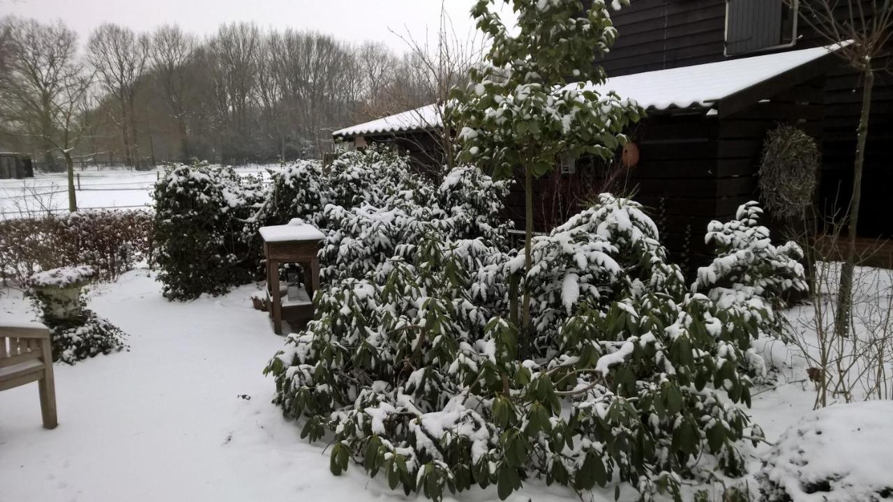 Hoeve Den Anholt Villa Ruinen Buitenkant foto