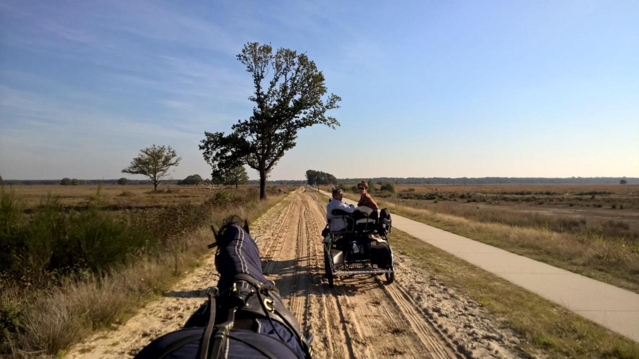 Hoeve Den Anholt Villa Ruinen Buitenkant foto