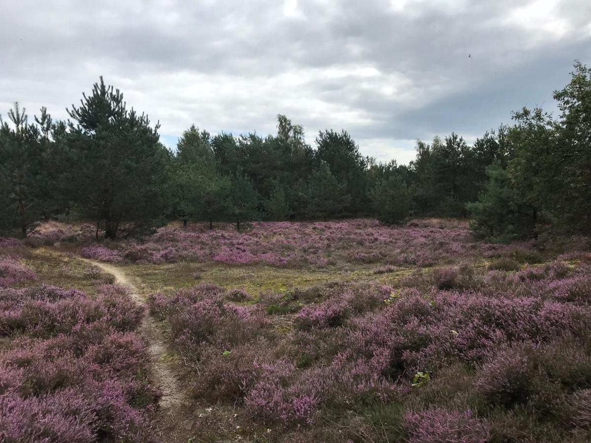 Hoeve Den Anholt Villa Ruinen Buitenkant foto
