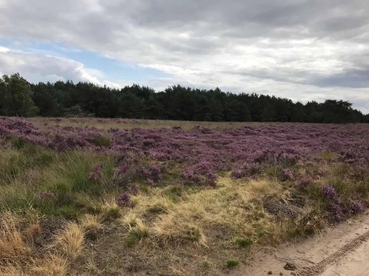 Hoeve Den Anholt Villa Ruinen Buitenkant foto