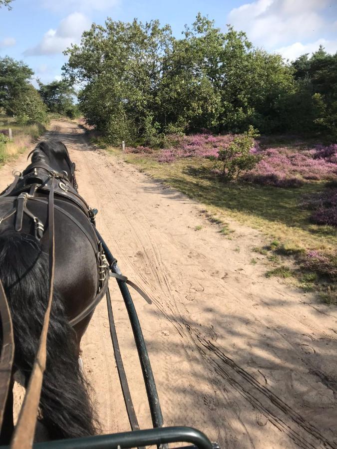 Hoeve Den Anholt Villa Ruinen Buitenkant foto