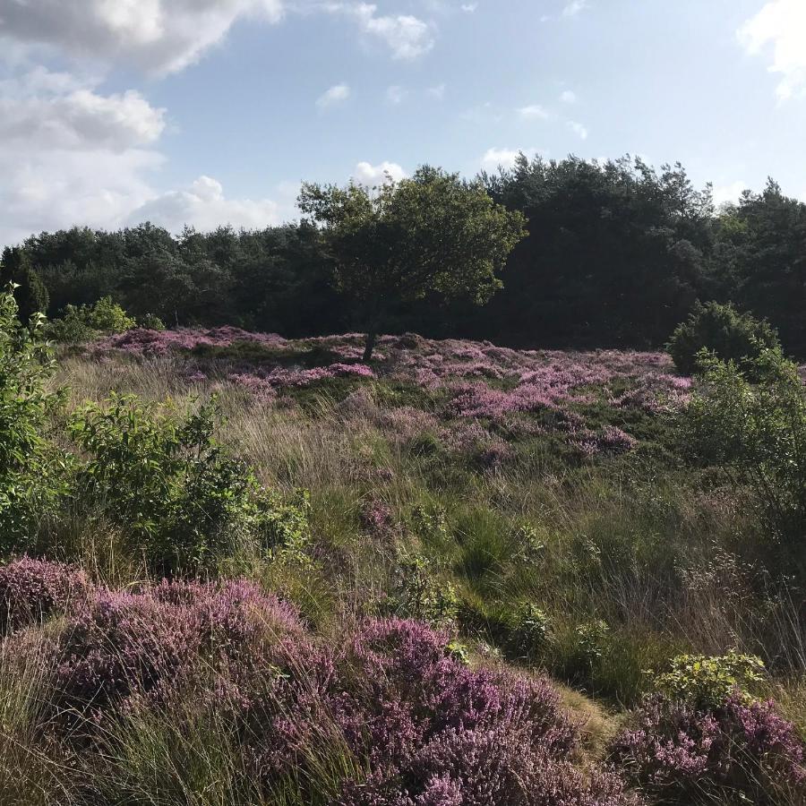 Hoeve Den Anholt Villa Ruinen Buitenkant foto