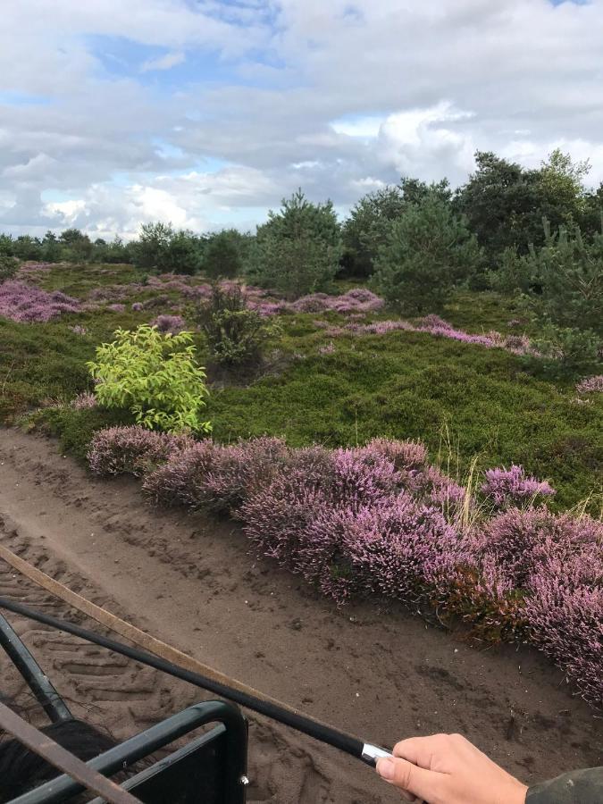 Hoeve Den Anholt Villa Ruinen Buitenkant foto