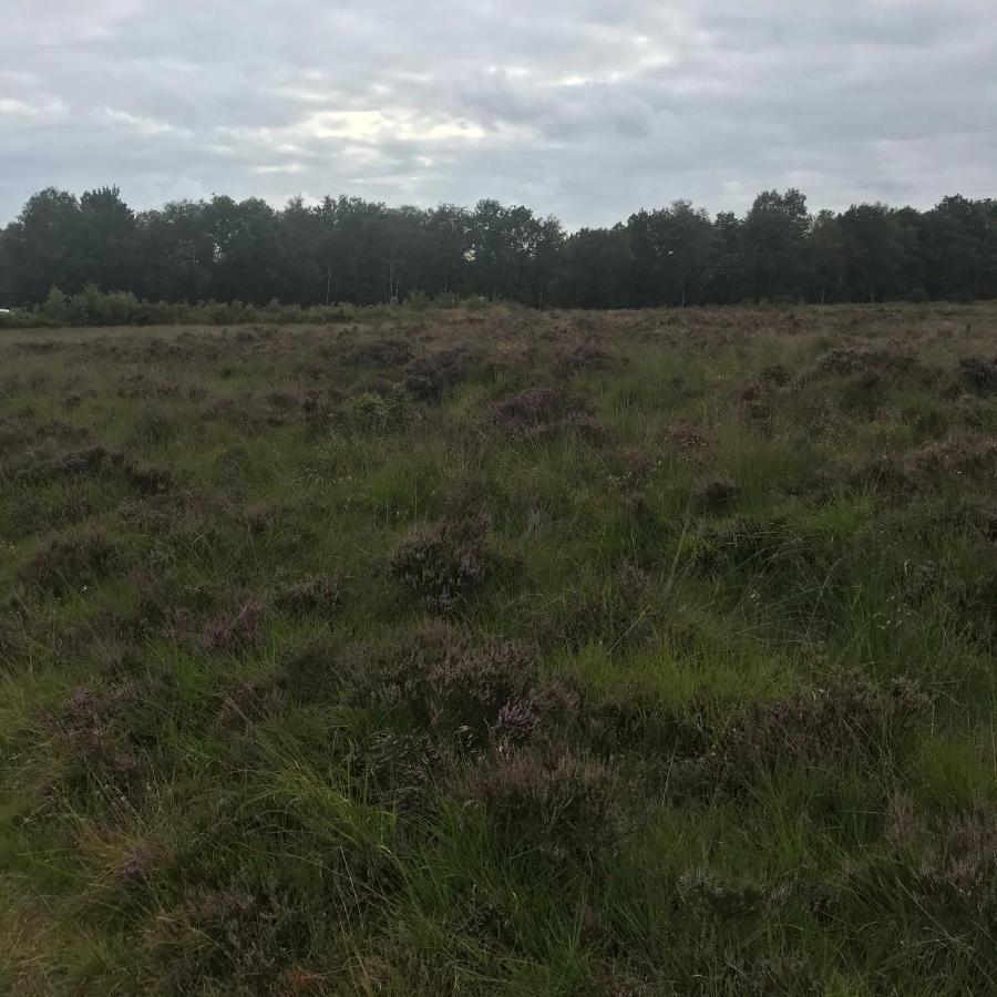 Hoeve Den Anholt Villa Ruinen Buitenkant foto