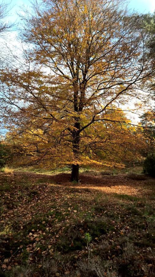 Hoeve Den Anholt Villa Ruinen Buitenkant foto